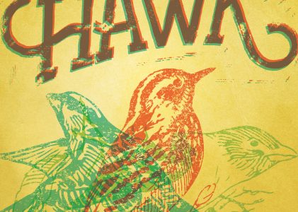 Is That A Hawk – Logo & Posters